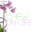 chewonlife.com