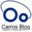 carrosblog.com