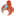 machzorim.com