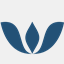pnweifu.com