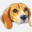 beagleengineering.co.uk