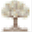 fellowshipconway.org