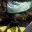 derwikinger.wordpress.com