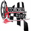 expertsautomobiles.com