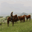 mathewsranch.over-blog.fr