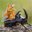 smallanimalplanet.com