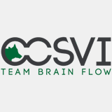 ccsvi.net