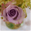 tildaviolet.com