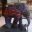 craftnomad.com