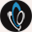 bngteam.com