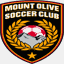 mountolivesoccer.com