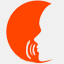 thespeechpro.com