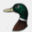 duckhead.com
