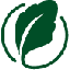 spinach-r.com