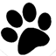 spcacattco.org