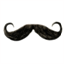 moustachegirls.tumblr.com