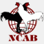 ncab.kku.ac.th