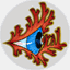 eyesofcoral.com