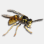cleankill.co.uk