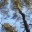 bio1pvs.wordpress.com