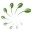 cooplacledeschamps.wordpress.com