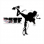 bstf.org.uk