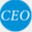 ceo-insight.com