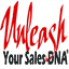 unleashyoursalesdna.com