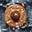 jimarendt.com