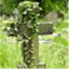 thepatchworkpietist.wordpress.com