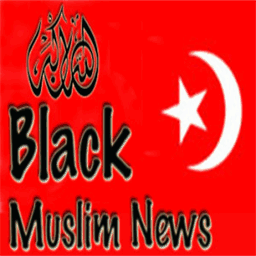 blackmuslimnews.com