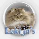 lukijns.com