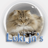 lukijns.com