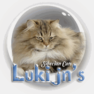 lukijns.com