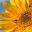 insteadbless.com