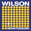 wilsonpto.org