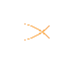 trexom.it