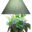 lumipouss.com