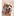 vvapl.com