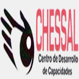 desarrollodecapacidadeschessal.com