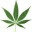 marijuananewstoday.wordpress.com