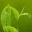humblemassagetherapy.wordpress.com