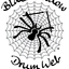blackwidowdrumweb.com