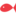 northfish.pl