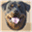 vravolu.com
