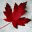 mapleleafblog.com
