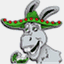 senordonkey.com