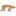 ledocase.com