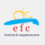 efcturizm.com