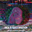 mattir.bandcamp.com